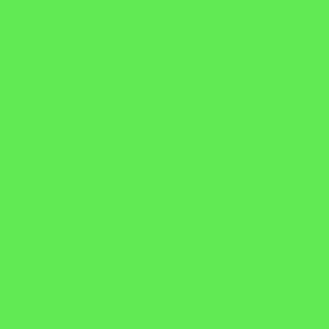 Thin Box • Fluorescent Green Frame